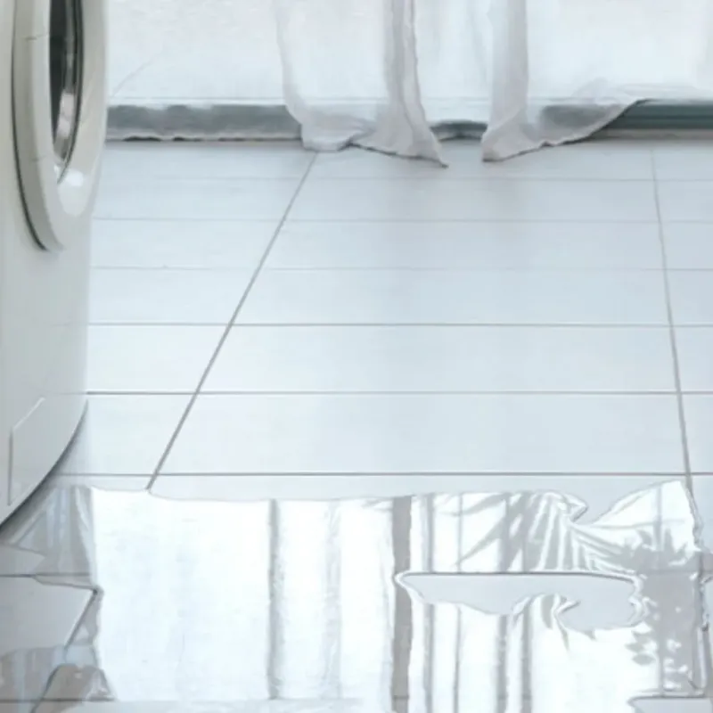 Appliance Leak Cleanup in West Bradenton, FL