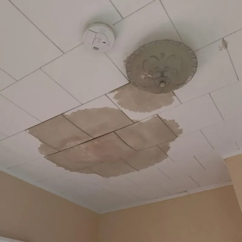Ceiling Water Damage Repair in West Bradenton, FL